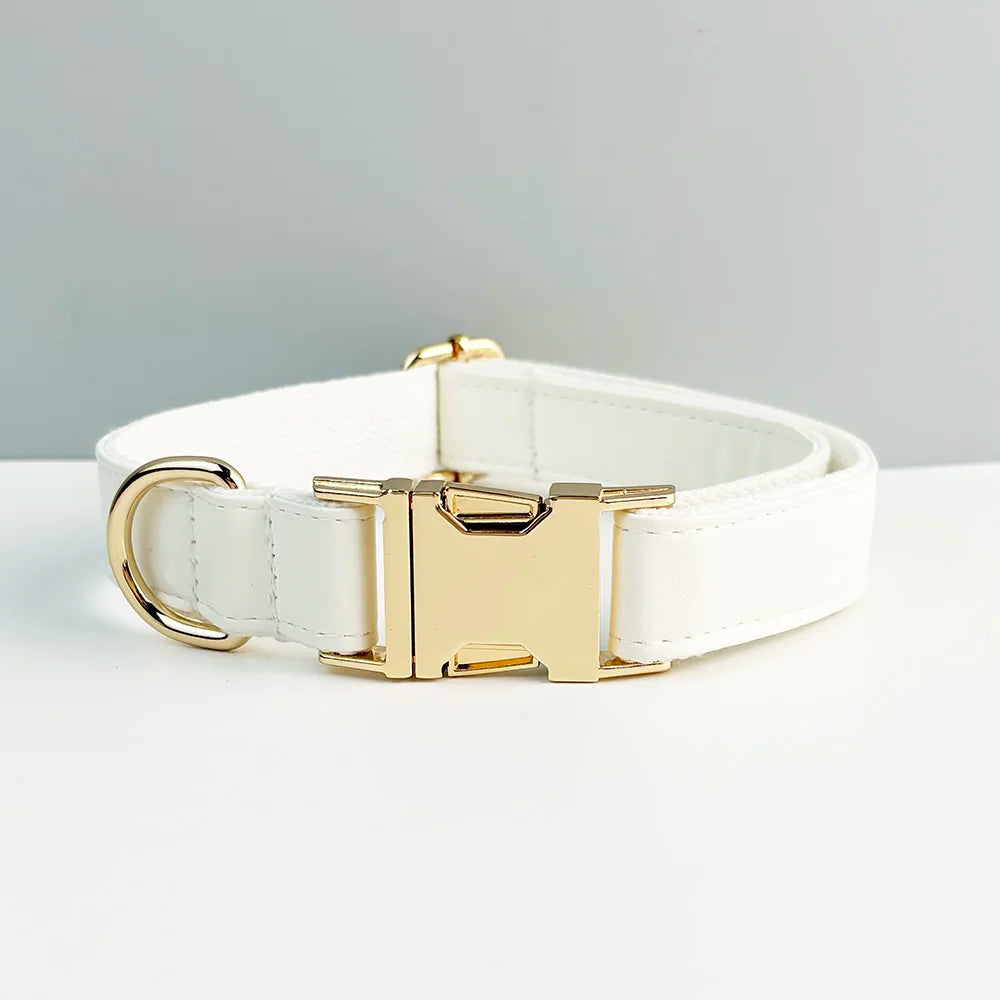 White Leather Dog Set