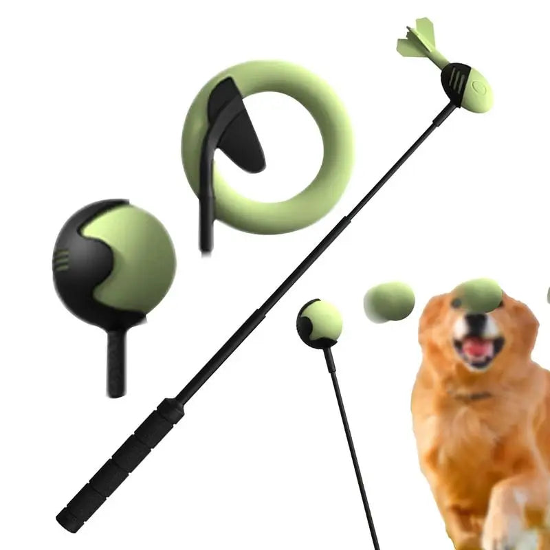 Dog Throwing Pole Toy