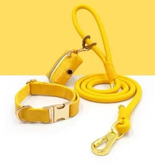 Custom Luxury Dog Leash Set