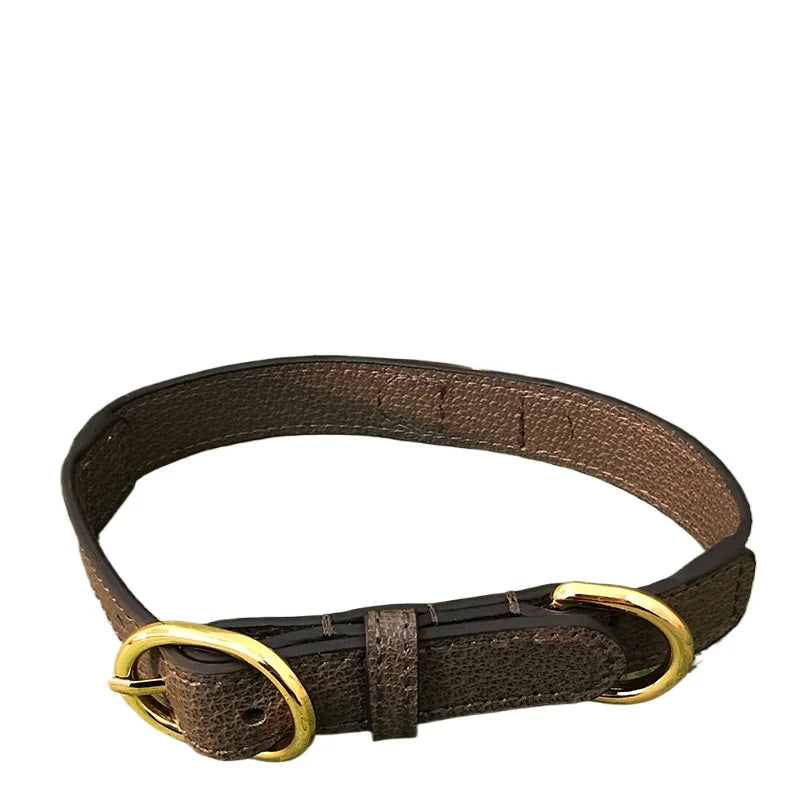 The Lux Dog Harness Set