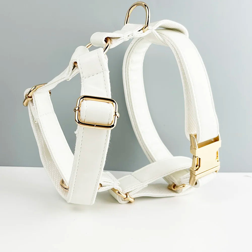 White Leather Dog Set