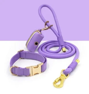 Custom Luxury Dog Leash Set