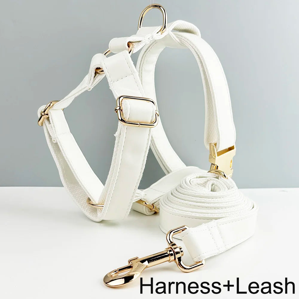 White Leather Dog Set