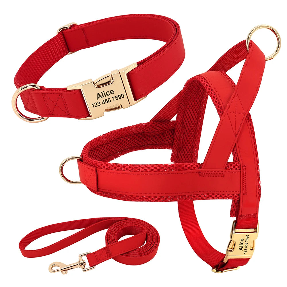 Personalized Dog Harness Set