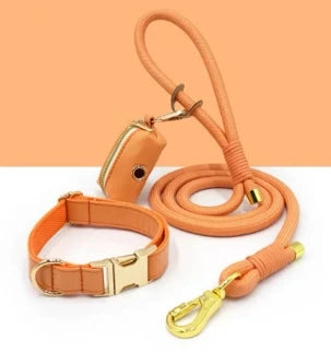 Custom Luxury Dog Leash Set