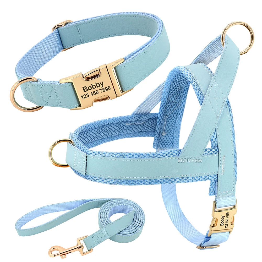 Personalized Dog Harness Set