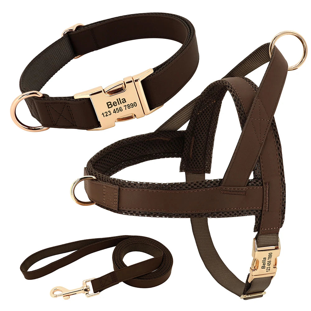 Personalized Dog Harness Set