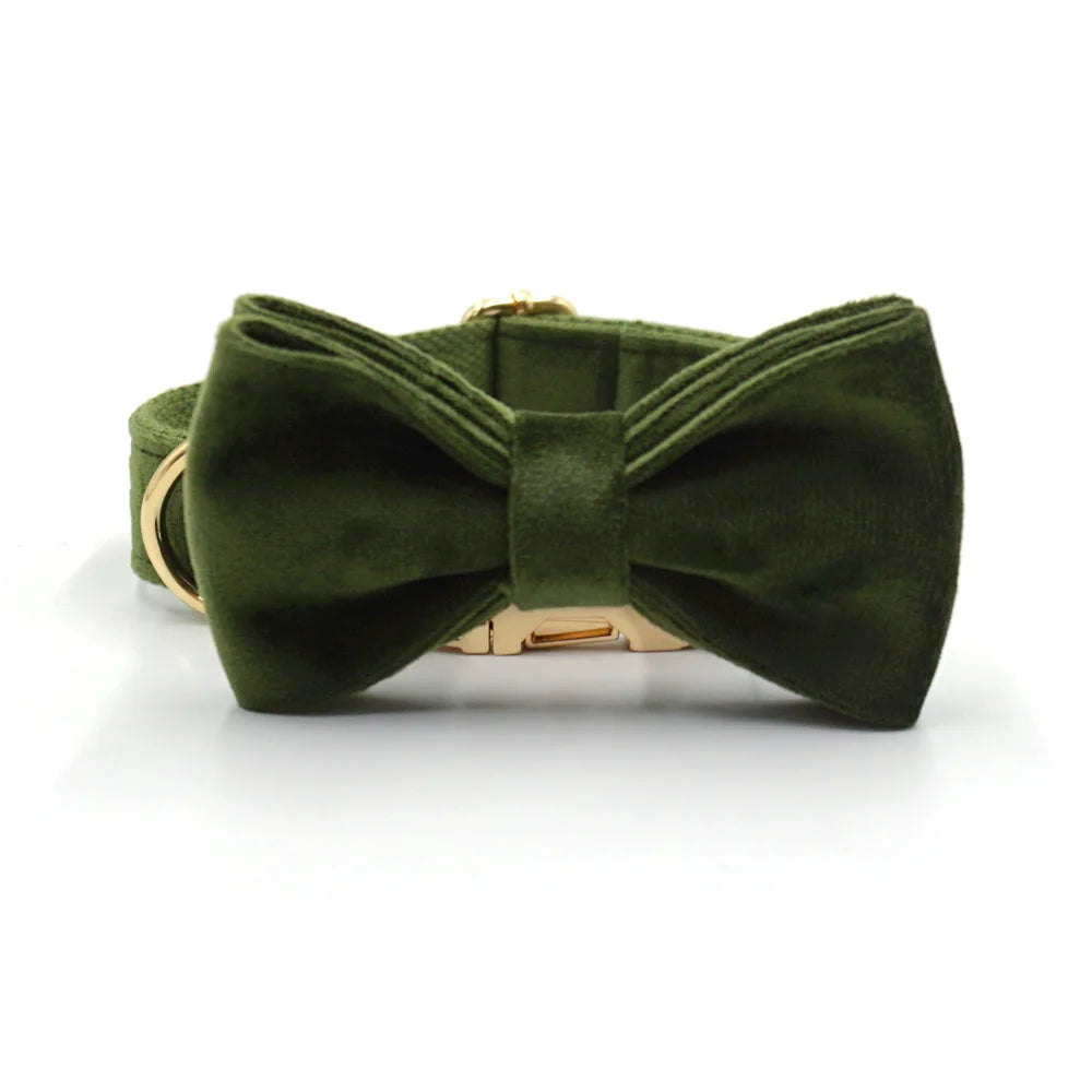 Vintage Velvet Dog Collar