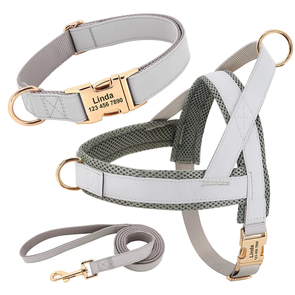 Personalized Dog Harness Set